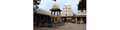 திருச்சானூர் - ஆந்திரா